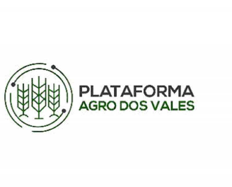 plataforma